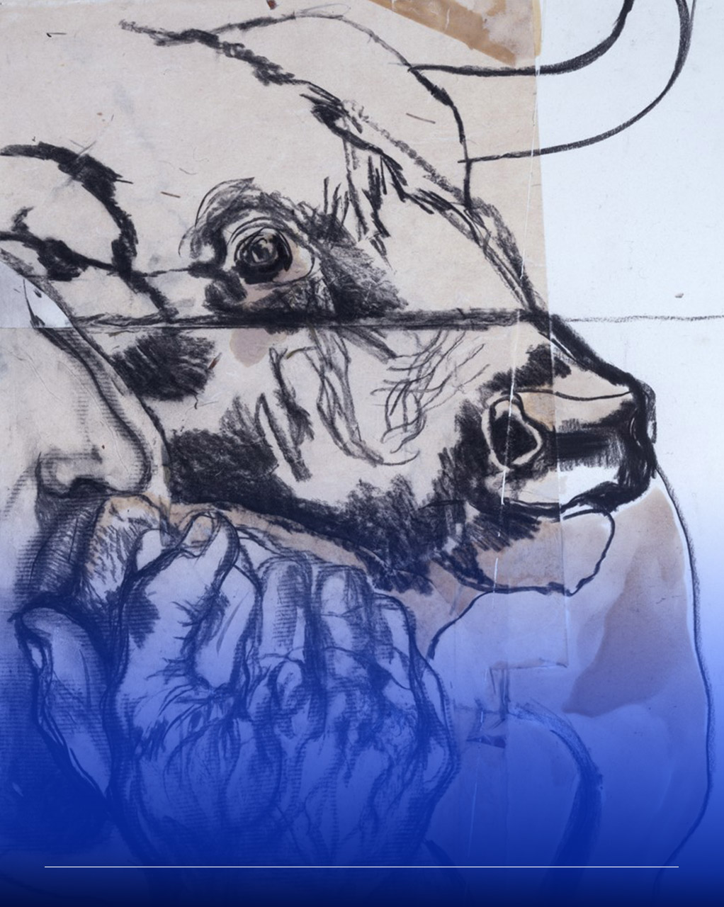 Immagine di una testa di toro sorretta da mani incrociate