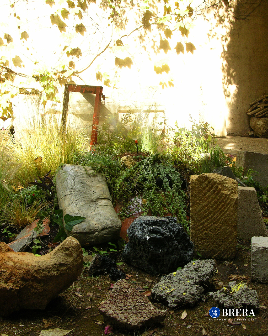 Foto di giardino con rocce