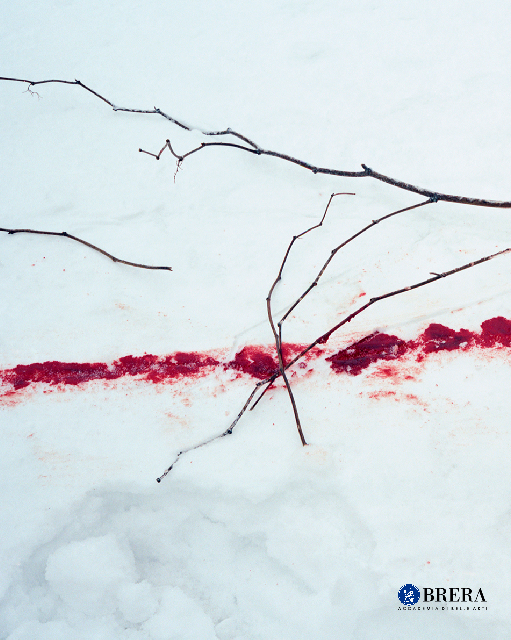 Immagine di macchia rossa sulla neve