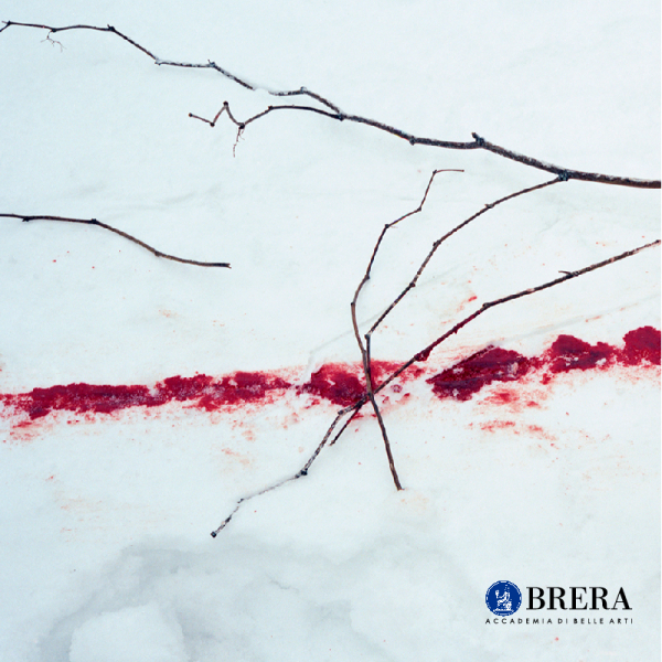 Immagine di macchia rossa sulla neve